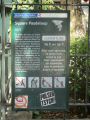 Paris-2014-06-24-2122-SquarePasdeloup.jpg