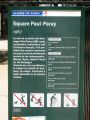 Paris-2015-06-04-2261-SquarePaulParay.JPG
